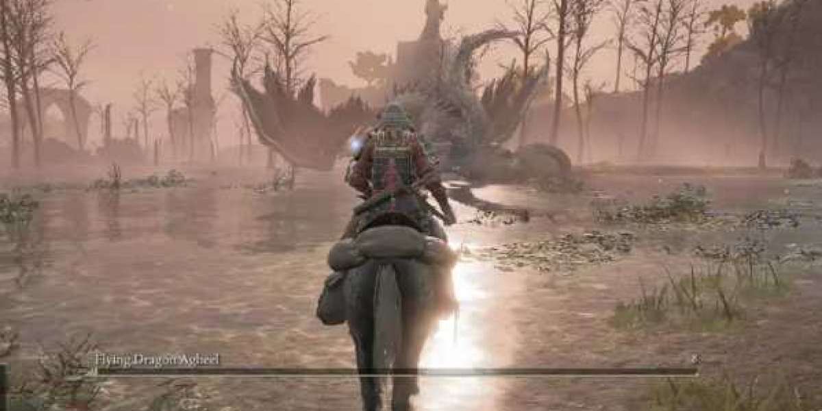 Players in the Elden Ring items are mystified as to why the Greater Will would even attempt to revive Dung Eater
