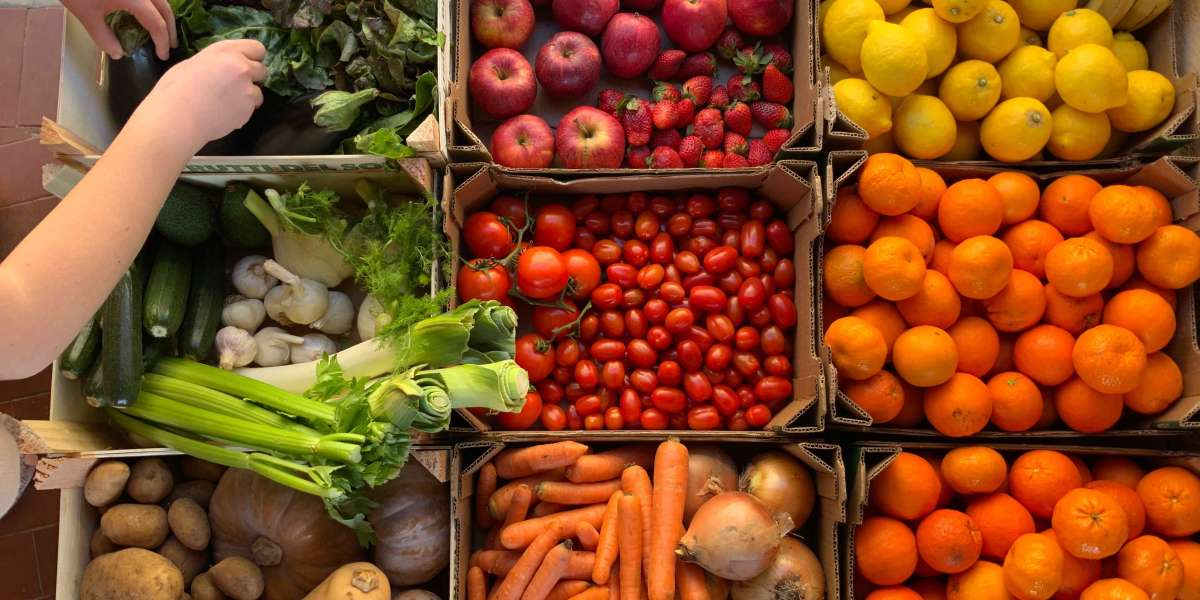 Fruits & Vegetables Suppliers in UAE | Fruits and vegetable suppliers | Fruits & Vegetables Suppliers in Dubai