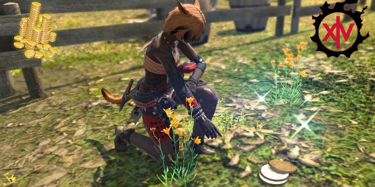 Buy Ffxiv Gil  - Easy And Effective