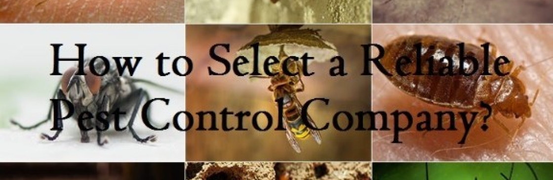 envirosafe pestcontrol