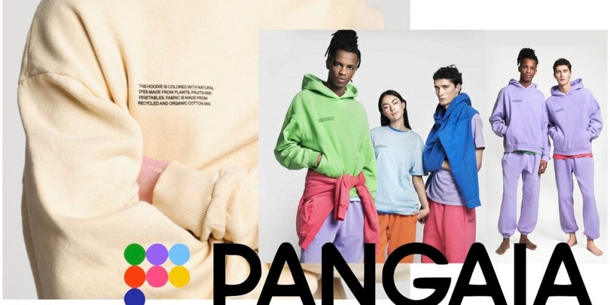 Why Everyone’s Obsessing Over the Pangaia Hoodie