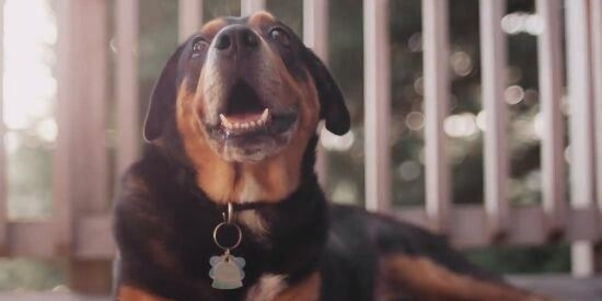 The Profundity of DeepSeek's Challenge To America