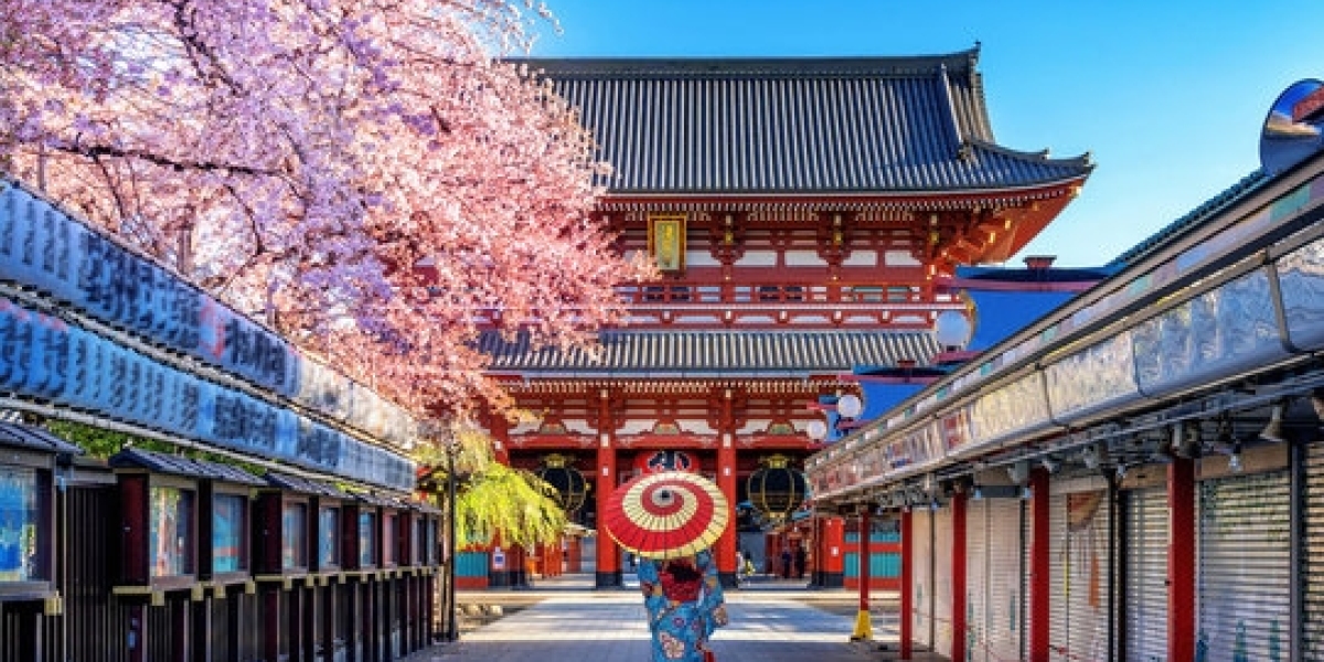 Best Things to Do in Tokyo: Must-Visit Attractions & Activities