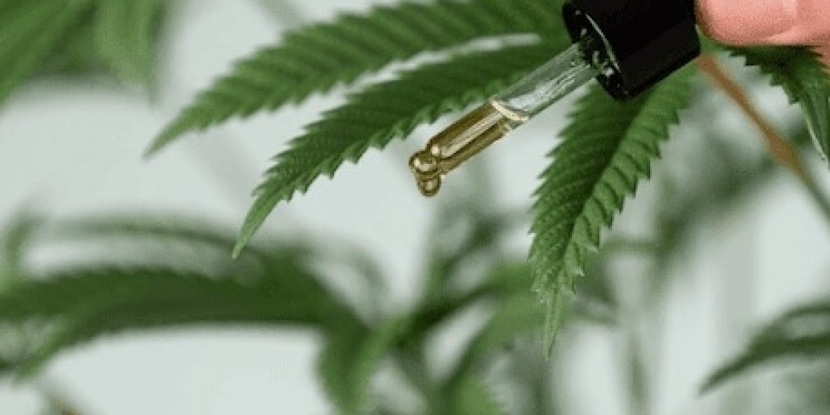 Les fleurs de CBD du Puy-de-Dôme : un trésor local