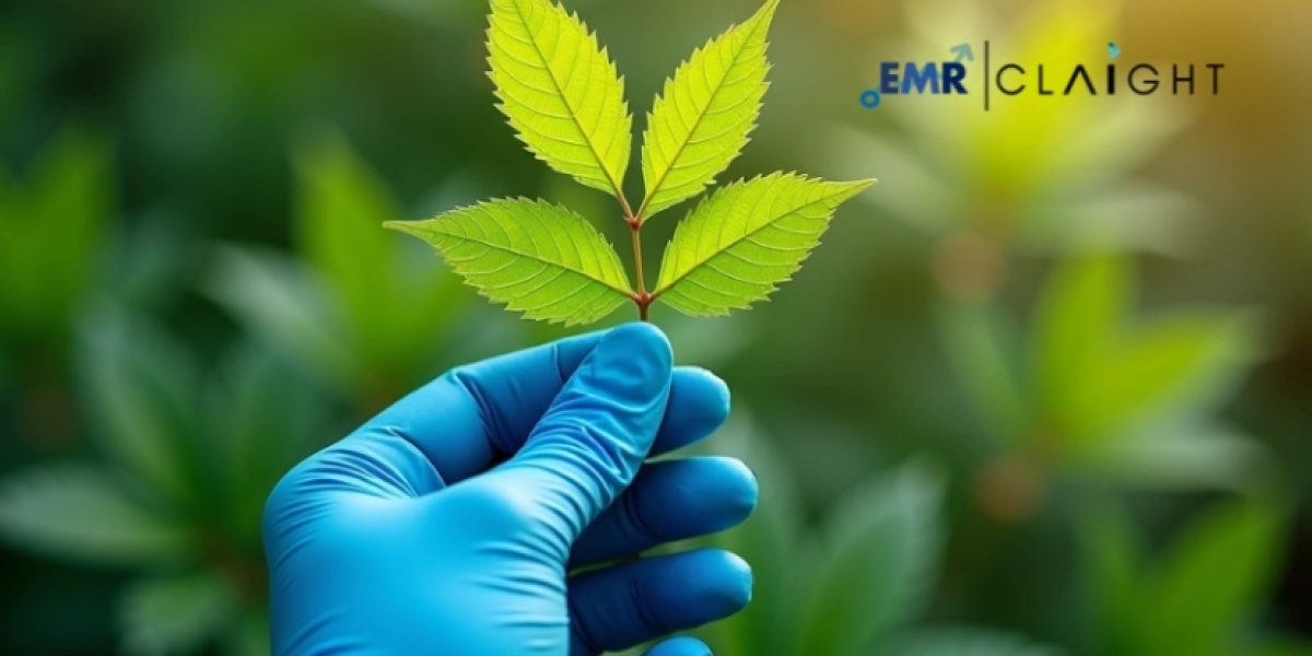 Legal Marijuana Market Growth | Size, Share & Trends Forecast 2034
