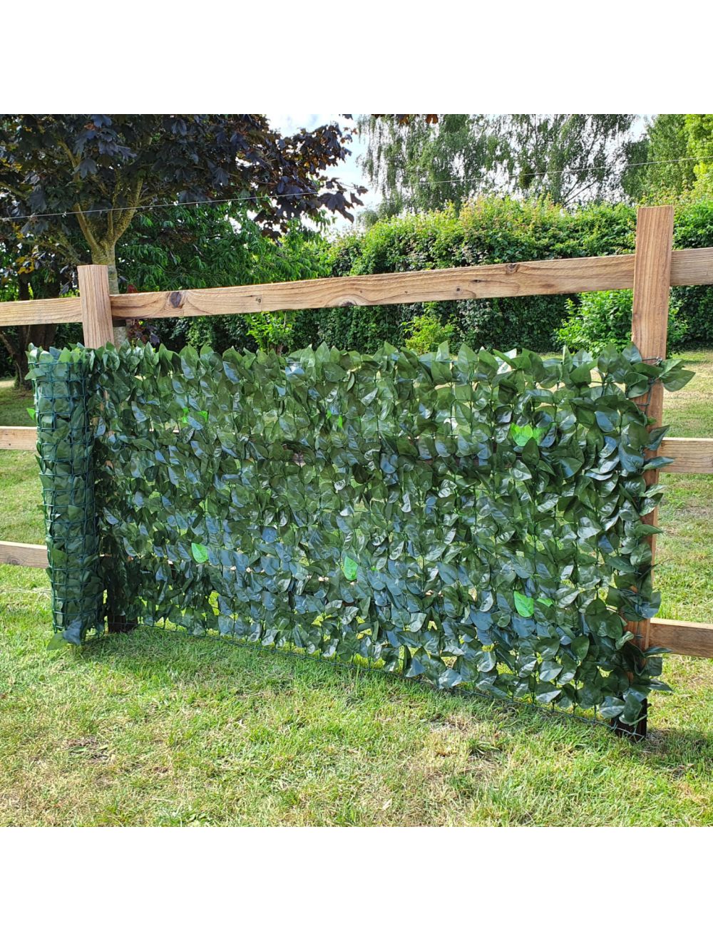 UV Protected Ivy Two Leaf Garden Fence Privacy Screening - 3m Long - Netting Store