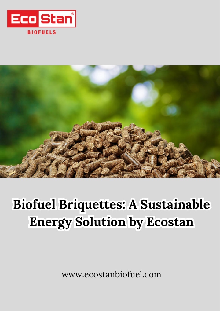 PPT - Biofuel Briquettes A Sustainable Energy Solution by Ecostan PowerPoint Presentation - ID:14042375