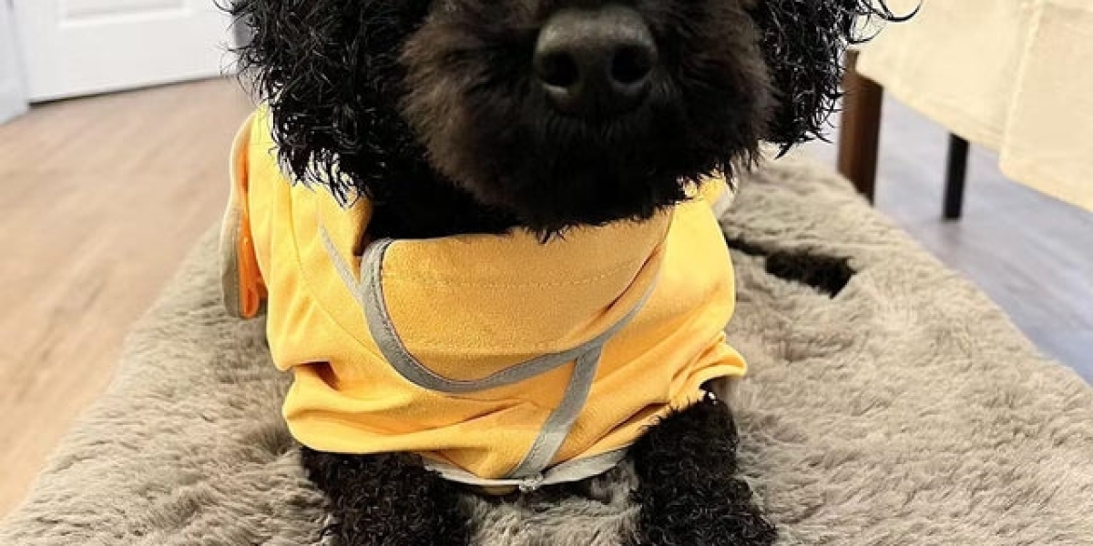 When Do Dog Print Bath Towels Make the Perfect Gift?