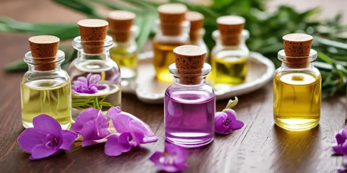 Top Woody Perfumes in Qatar: Bold Scents for Modern Tastes
