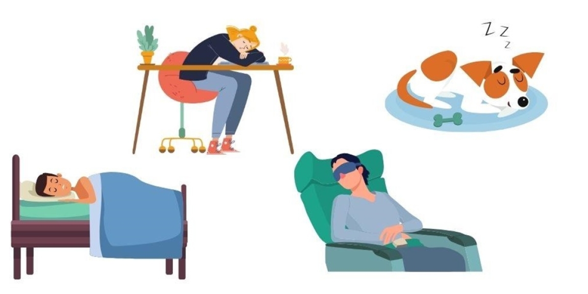 Can Narcolepsy Cause Seizures?