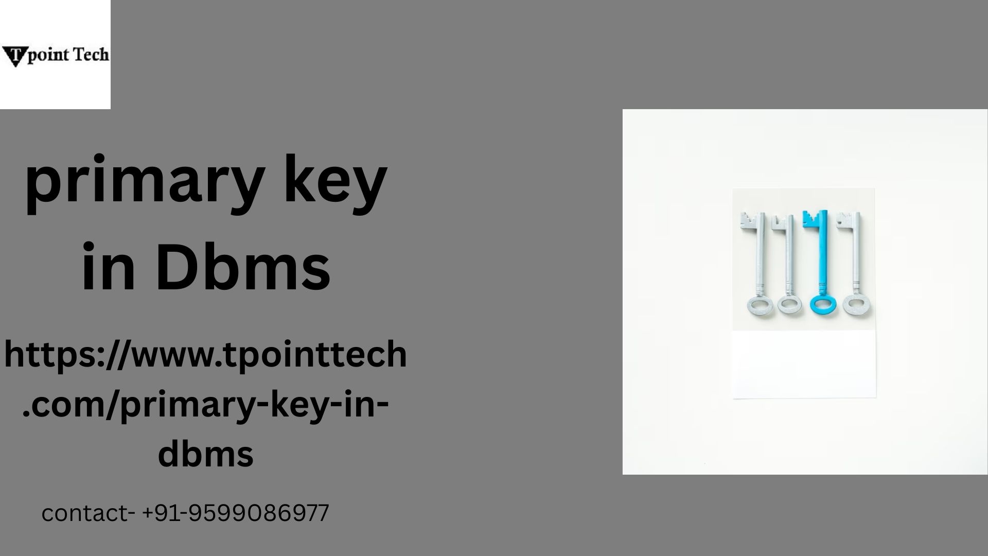 primary key in dbms