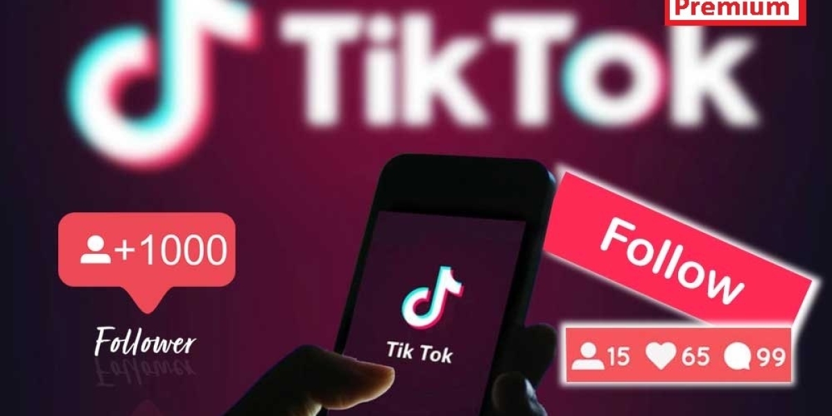 Explore All Possible Information Attached With Tiktok Followers