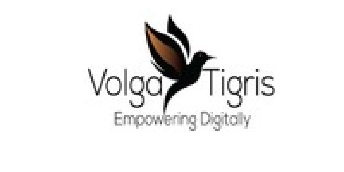 Volga Tigris Explains Back-End Web Work