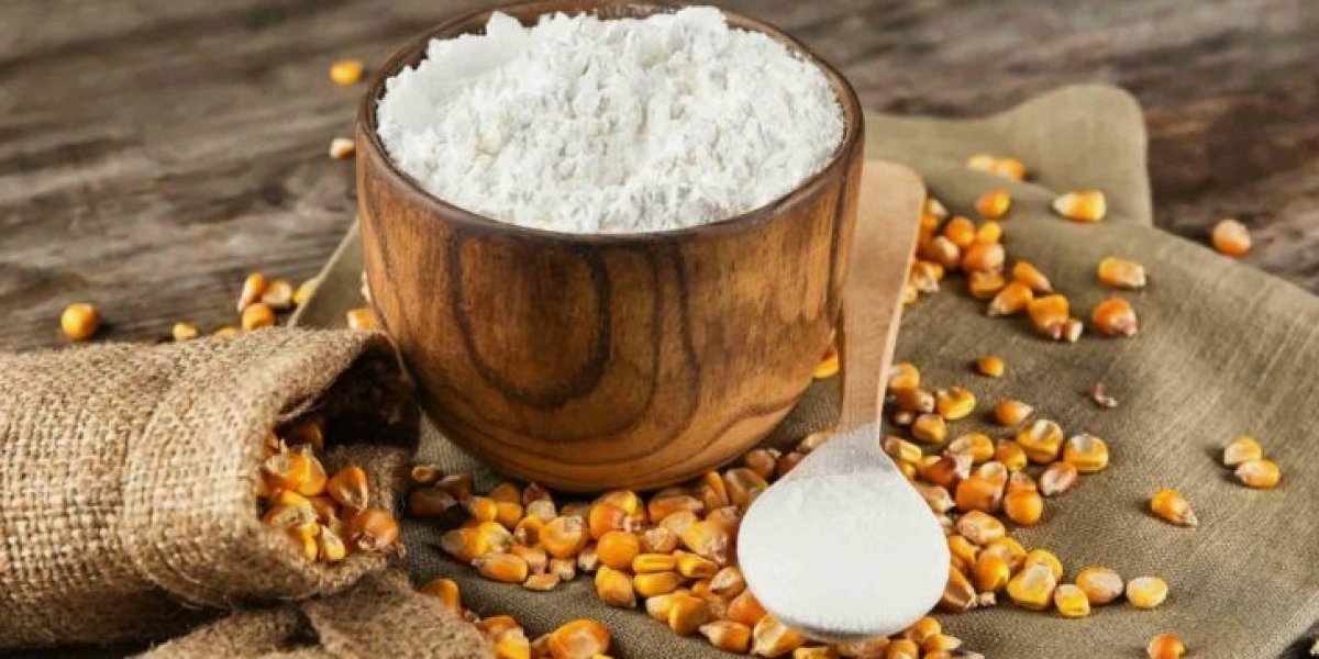 Modified Wheat Starch Market | Fueling Innovation Across Food and Industrial Applications