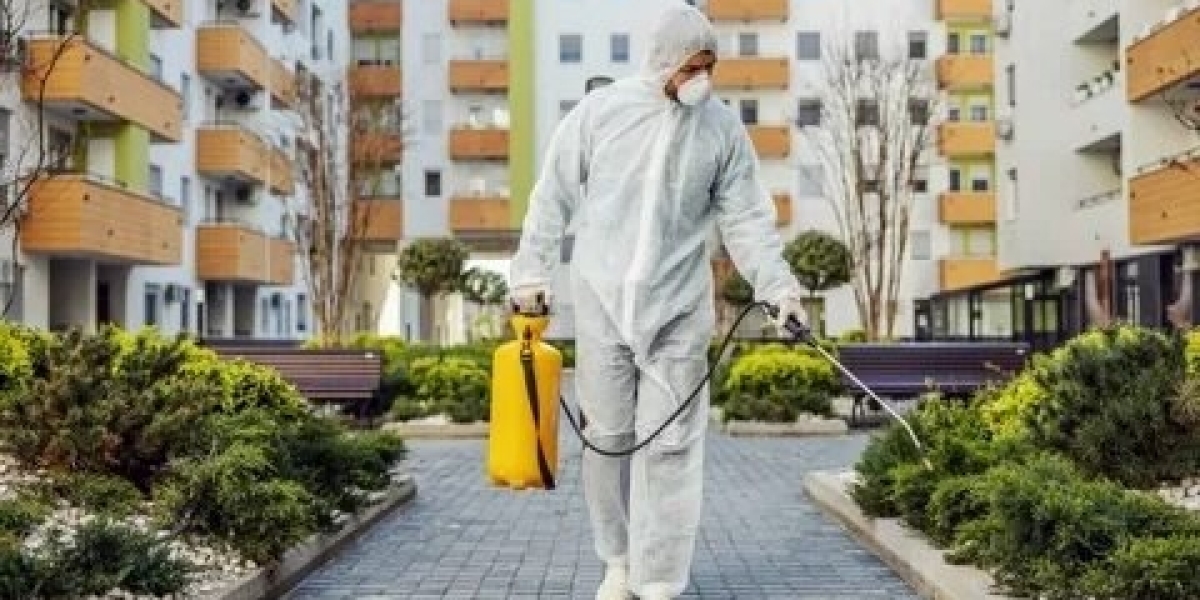 Termite Control Brooklyn Property Owners Rely On for Long-Term Protection
