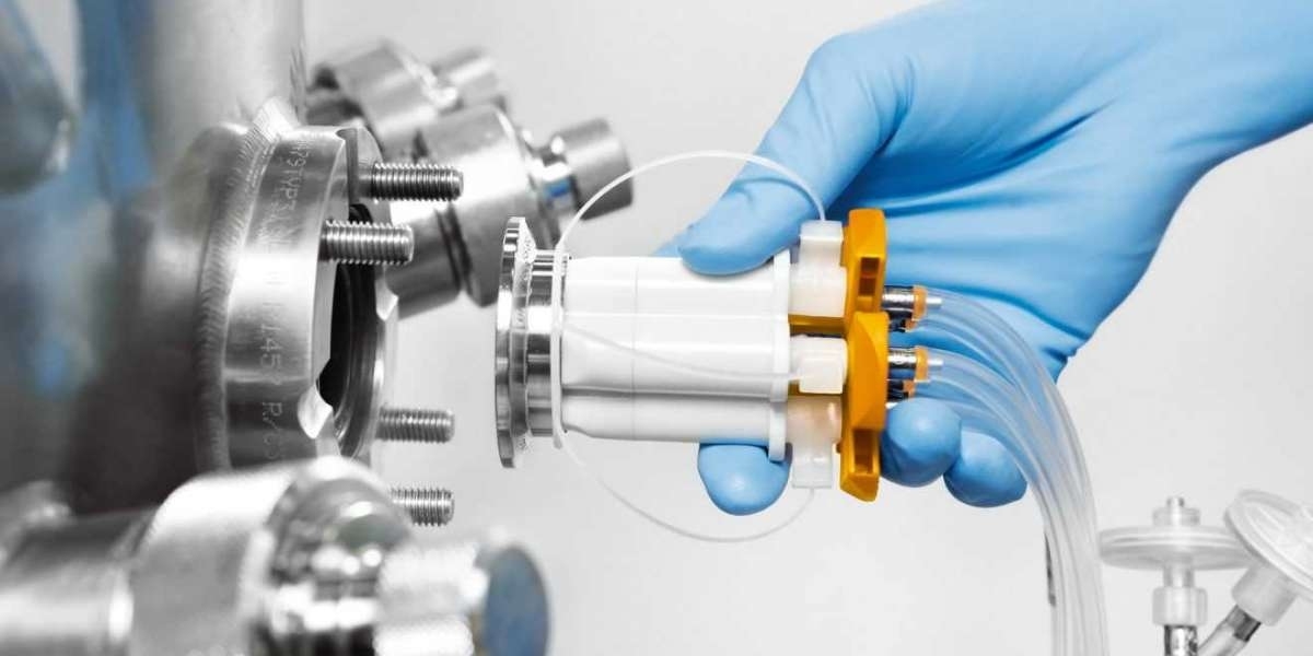 The Aseptic Sampling Market: Ensuring Quality in Pharmaceutical Production