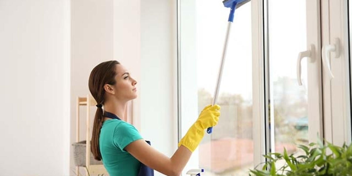 What Makes a Window Cleaner Truly Professional?