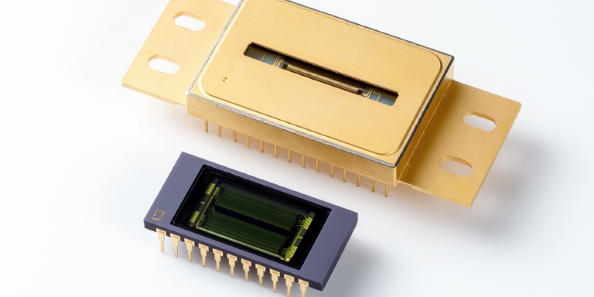 InGaAs Image Sensor Market Future Plans, Competitive Landscape and Trends by Forecast 2031