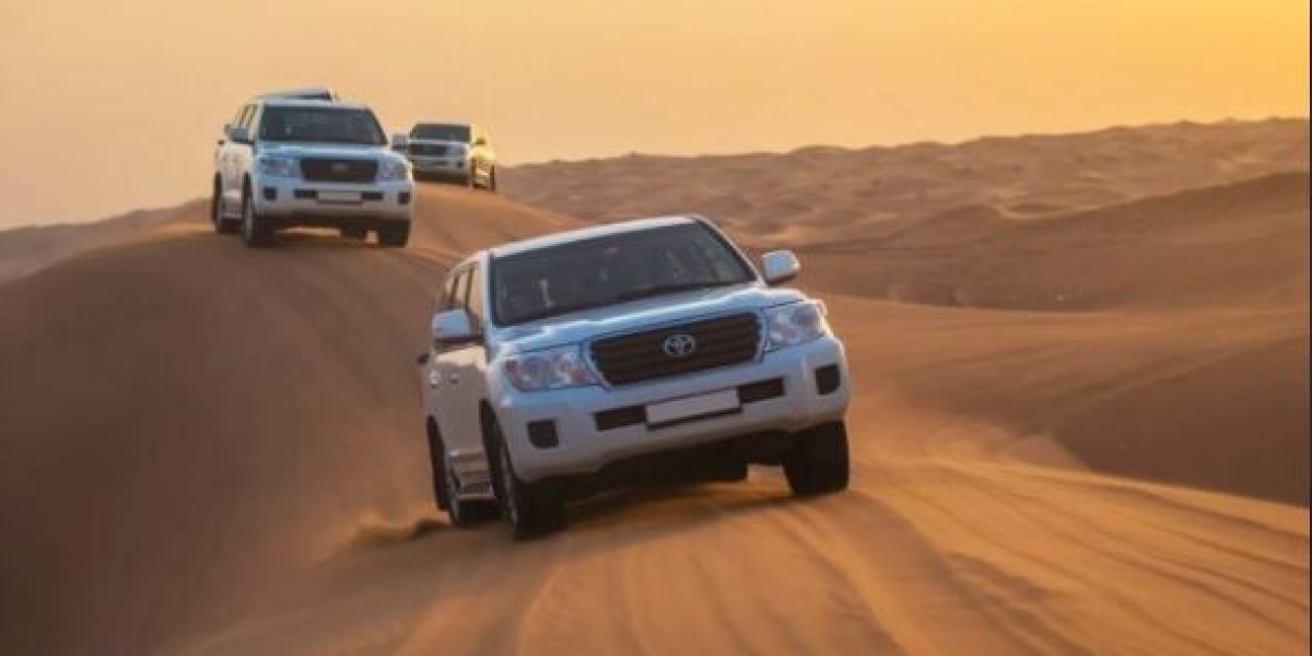Experience the Thrill of a Morning Safari Tour in Dubai