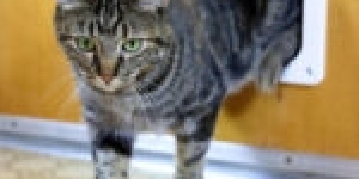 Are You Getting The Most Value You Cat Flap Installer?