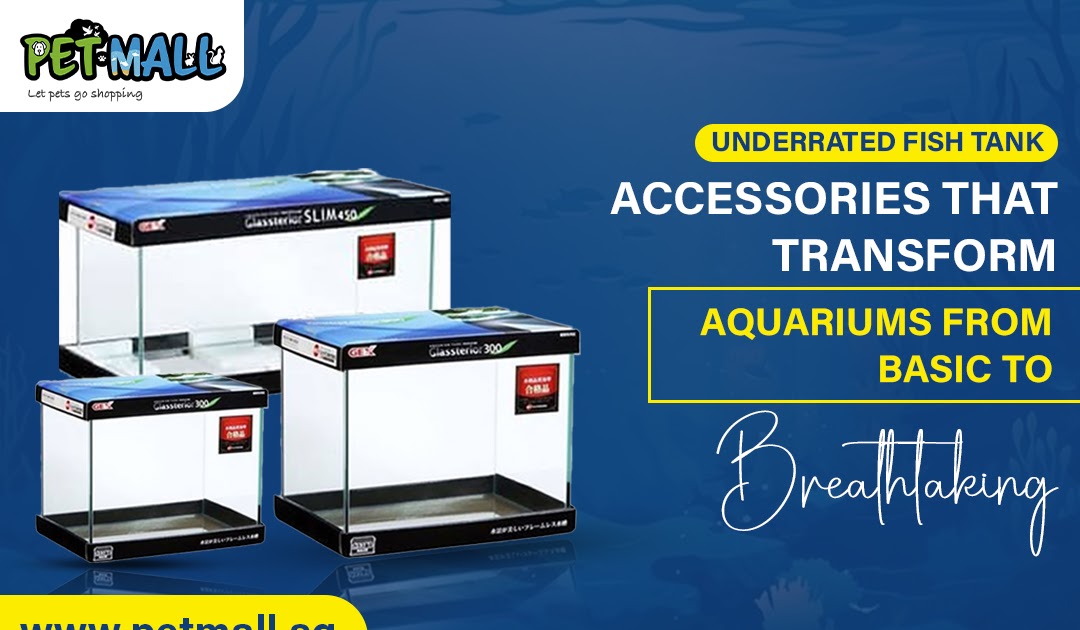 Underrated Fish Tank Accessories That Transform Aquariums from Basic to Breathtaking