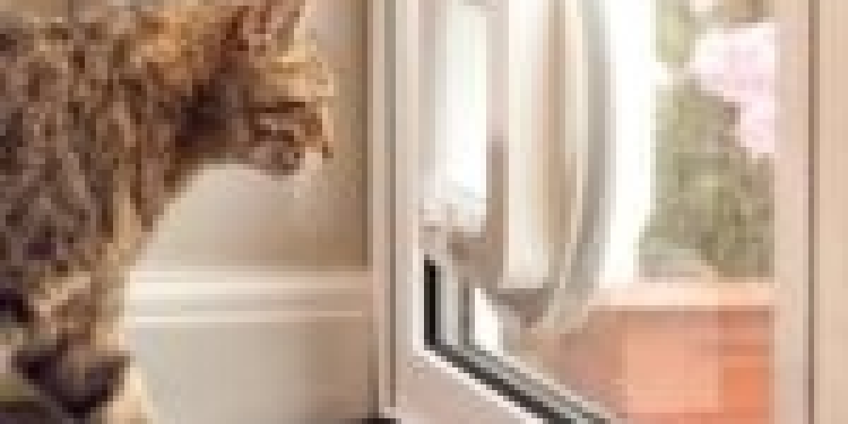 How To Create An Awesome Instagram Video About Cat Entrance Fitting