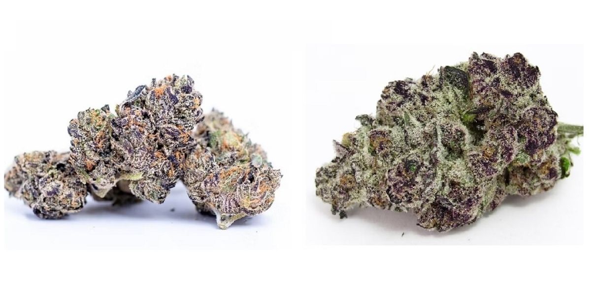 Here is Your Best Bet for Weed Delivery That Won’t Waste Your Time