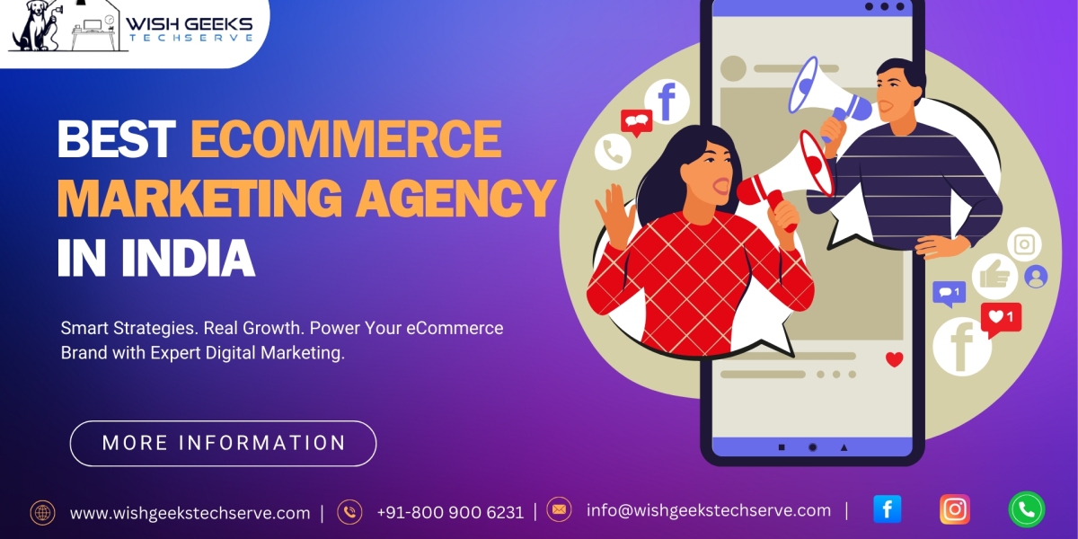 Best Ecommerce Digital Marketing Agency in India—Wish Geeks Techserve