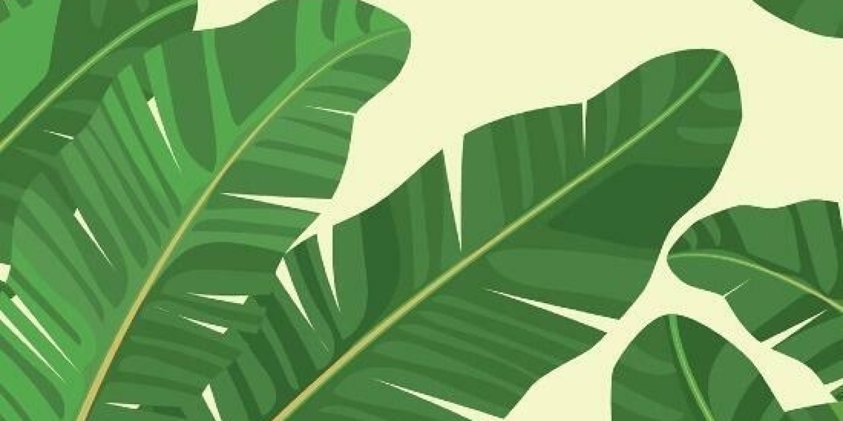 Bet9Ja Promotion Code 2025: YOHAIG - June 2025 ₦100K Bet9ja Welcome Bonus