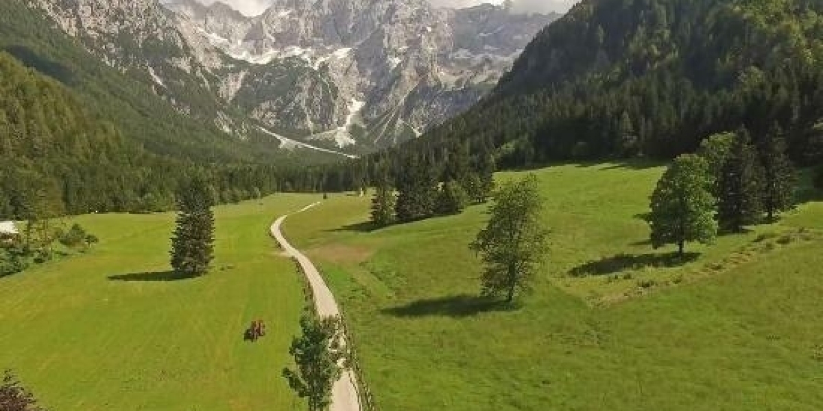 Common Area Maintenance (CAM).