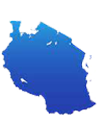 Tanzania Import Data, Tanzania Customs Data, Tanzania Shipments Data