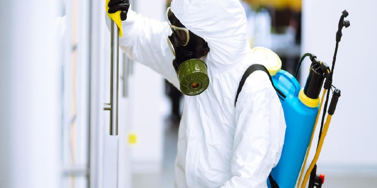 Affordable Pest Control Services Near Me That Actually Work