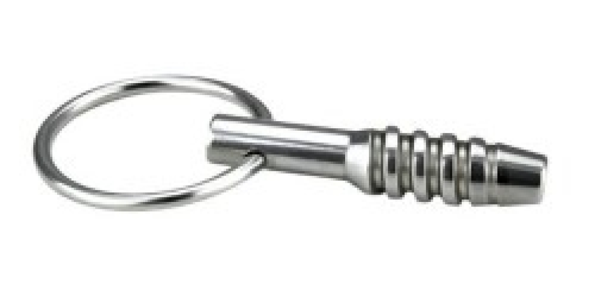 male chastity device 2 pw816