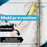 Spray foam Experts