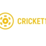 icricket 11
