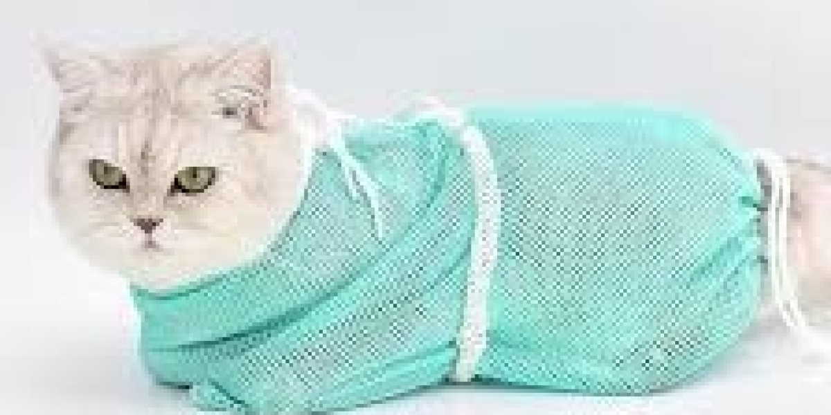 Grooming Tools for Cats: A Complete Guide for Pet Owners