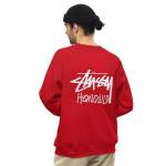 stussy hoodie