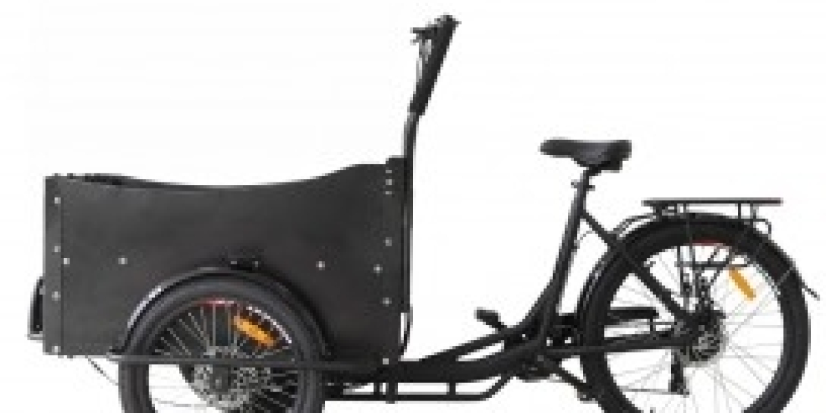 Kaufen Sie Ihr perfektes Lastenfahrrad bei E-rock.de – stark, elektrisch und vielseitig