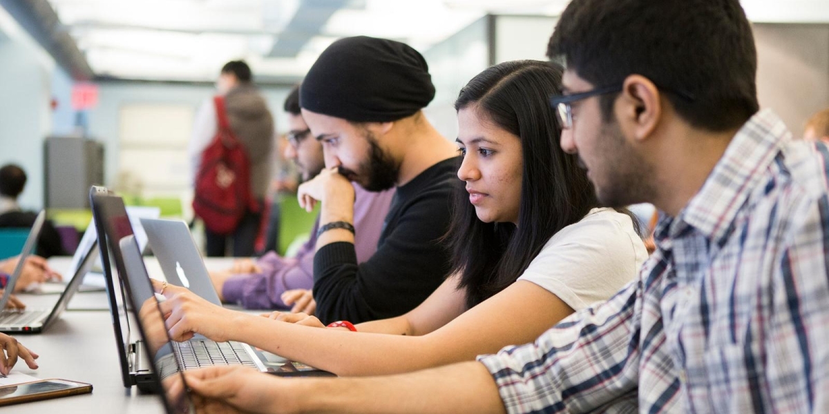 Building Careers in Healing: Doctor of Physical Therapy and Doctor of Veterinary Medicine in Multan