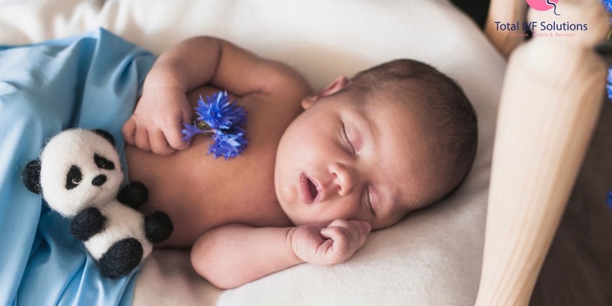 IVF Treatment in India: A Complete Guide for International Patients